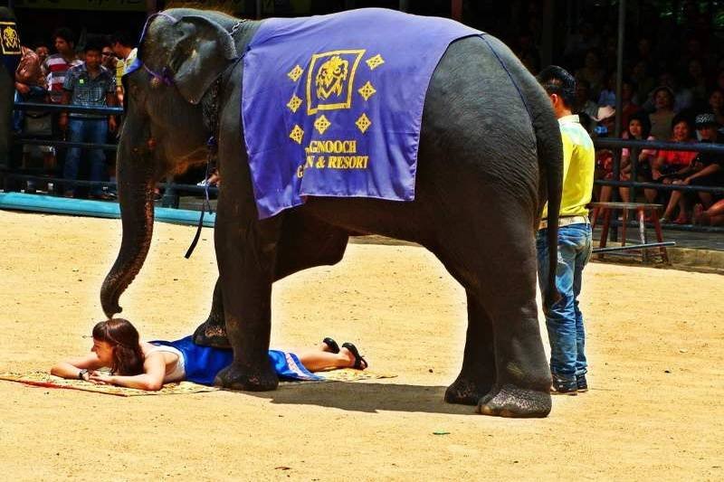 Discover Thailand’s Top Attractions NT Holidays
